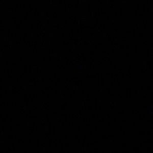 Meet your Posher, Lucas